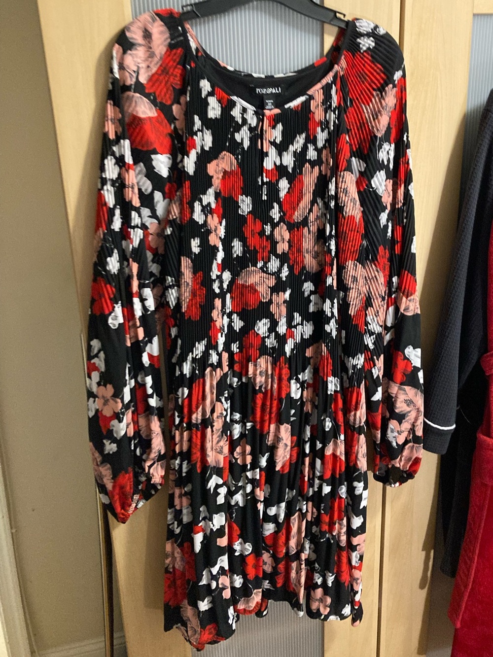 Roz & Ali Black Floral Pleated Long-Sleeve Dress with Red and Pink Blooms